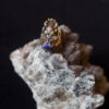 552A9299.jpg Unique Dragon ring
