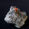 552A9331.jpg Sterling Silver Red Coral Ring