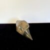 Sankha: Etched Corn Shell