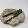 Vintage Betelnut Cutter