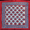 Handmade Block Printed blue and red fruit motif Tablecloth Set
