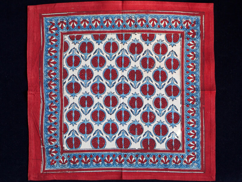 Handmade Block Printed blue and red fruit motif Tablecloth Set